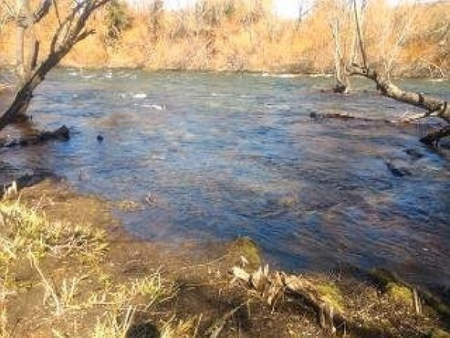 Imagen 2 de 14 de Lote Único Con 41 Metros De Costa De Río Quilquihue