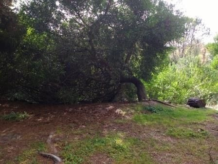 Imagen 3 de 7 de Terreno En Venta En Mar De Las Pampas
