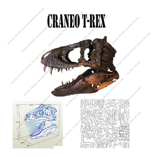 Craneo Tiranosaurio Rex | MercadoLibre 📦