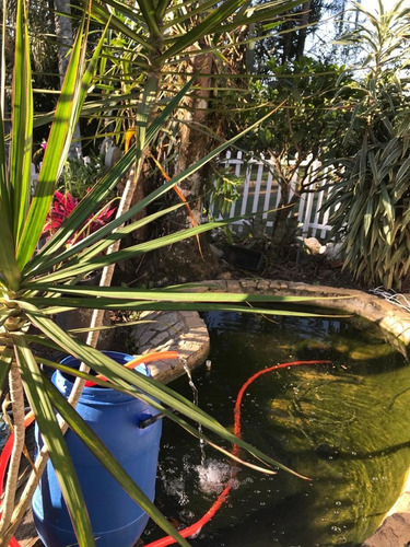 Imagem 14 de 21 de Maravilhosa Chácara Em Jarinu Com Piscina Árvores Frutíferas