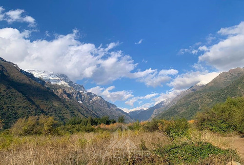 Los Queñes Cordillera Río Teno Reserva Ecológica 4.700 Hás.