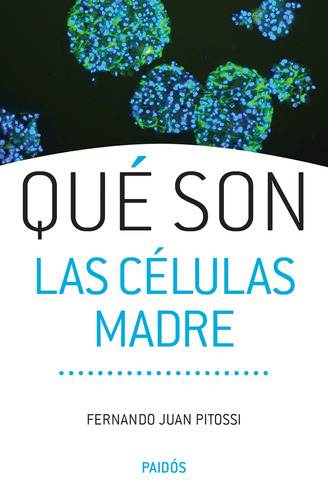 Qué son las células madre, de Pitossi, Juan Fernando. Serie Fuera de colección Editorial Paidos México, tapa blanda en español, 2015