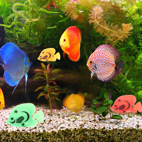 Pecera Flotante, 20 Unidades