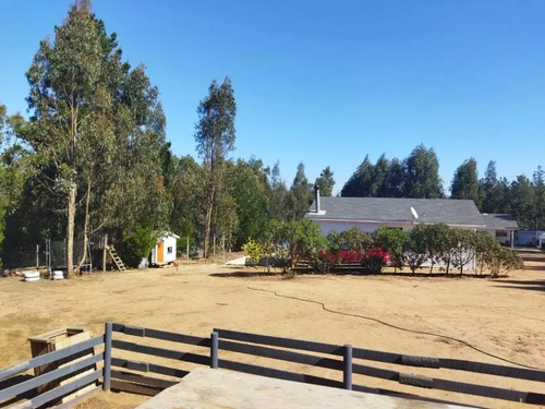 Venta De Parcela En Fundo La Petrilla, Algarrobo