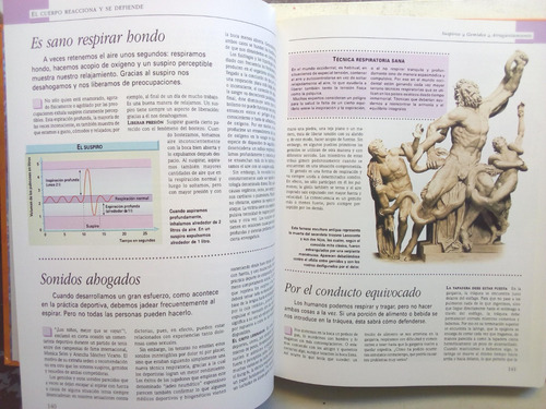 El Asombroso Cuerpo Humano - Reader's Digest (Usado)