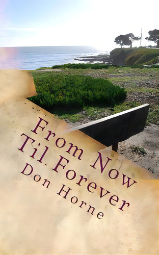 From Now Til Forever, De Horne, Don. Editorial Createspace, Tapa Blanda En Inglés