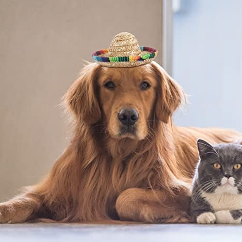 Popetpop: Set 3 Sombreros Para Perros - Estilo Único
