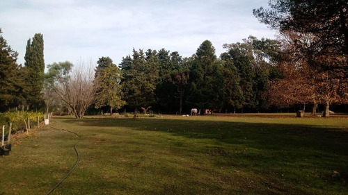 Imagen 8 de 21 de Casa - Parada Robles