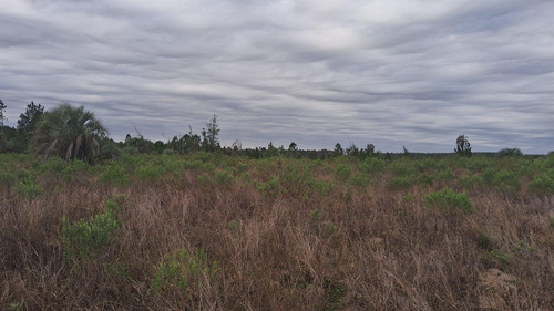 Campo En Osvaldo Magnasco