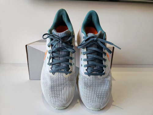 Nike Pegasus 39 (Usado)