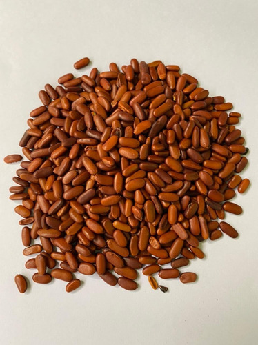 Sementes De Árvore Falso Barbatimão 100g
