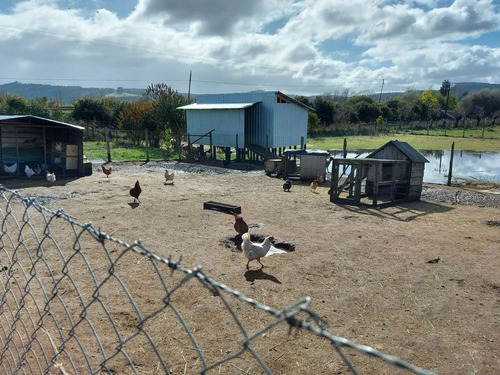 Parcela Tipo Granja