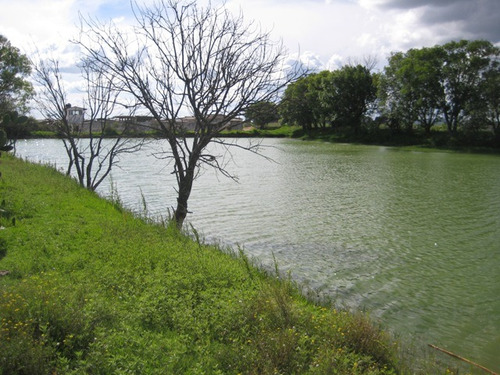 Rancho En Venta Cerca De Polotitlán Querétaro - Precio De Remate