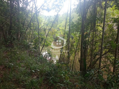 Imagem 15 de 29 de Fazenda, Venda, 17,4 Hectares, Camaçari, Excelente Oportunidade! - Te0021