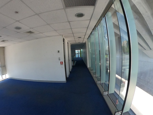 Espectacular Local Comercial De 238m2 En Arriendo