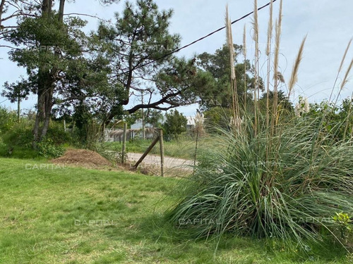 Imagen 9 de 17 de Hermoso Terreno En Golf, Punta Del Este - Punta Del Este Golf