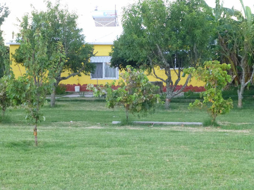 Chacra En Uruguay 3 Hct Soriano Casa Galpon Frutales