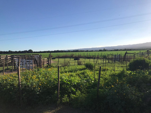 Se Vende Campo Mixto 161 Ha En Los Molinos (córdoba), A Tranquera Cerrada.