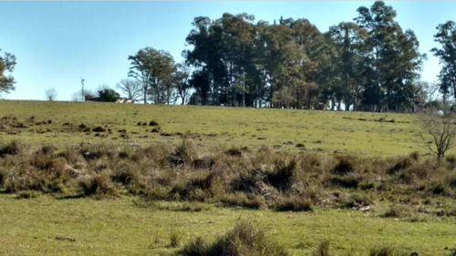 Imagen 5 de 12 de Terreno Campo En Venta Ubicado En Río Negro, Río Negro