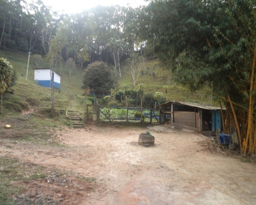 Imagem 11 de 23 de Sítio Contendo Casa Sede Aconchegante À Venda Em Juquitiba; - 327 - 32982714