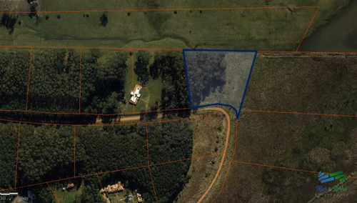 Venta De Terreno De 10.000 M2 En Las Silvias, Punta Ballena