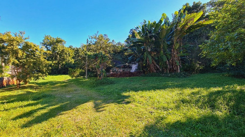 Imagem 17 de 20 de Ótima Oportunidade De Investimento: Terreno No Bairro Itoupava Norte, Medindo 4.979,96 M², Totalmente Plano, E Ainda Com Duas Casas. Zona Residencial 1 (zr1). - 35712107v