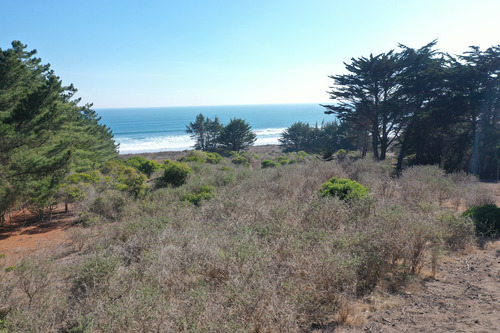 Desarrollo Inmobiliario Frente Al Mar En Punta De Lobos