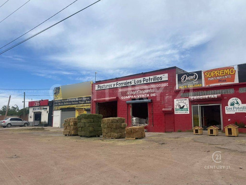 Local En Venta En Col Valles Chihuahua, Chih.