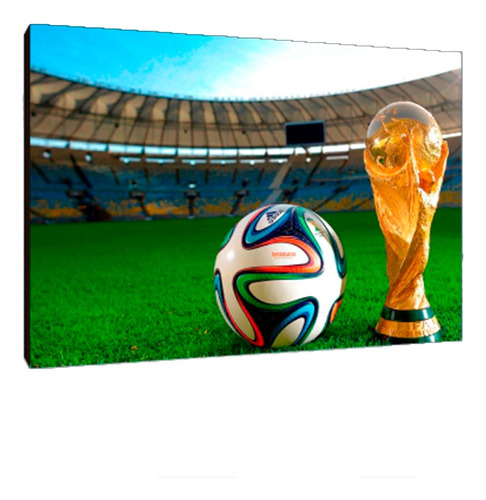 Cuadros Poster Deportes Futbol Copas M 20x29 (fifa (9))