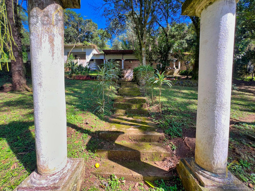 Local En Renta En Plaza Buena Vista Campestre Zona Briones Coatepec Ver.