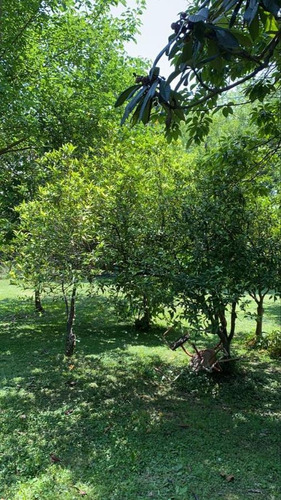Imagen 5 de 5 de Terreno Lote En Venta 300 M2, Oportunidad! - Francisco Alvarez