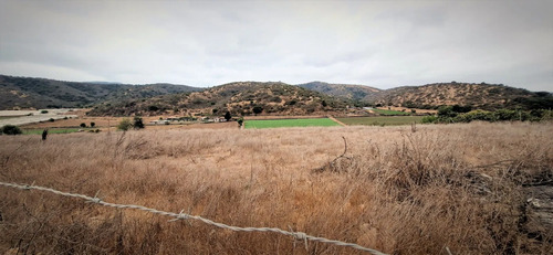 En Venta Parcela De 7.500 M2., En El Huape, Manzanar, Quillo