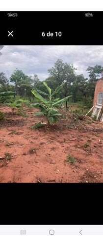 Chácara Juízo Final,próximo De Juscimeira 55km Rondonópolis