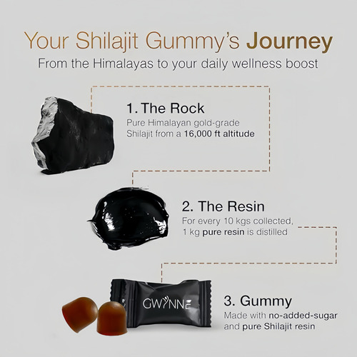 Gwynne Shilajit Gummies Puro Del Himalaya 3000mg Apto Para Hombres Y Mujeres 85 Micronutrientes Natural 60 Gommies 100% Orgánico