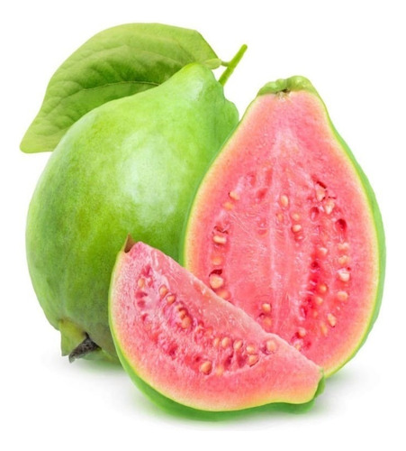 100 Semillas De Guayaba