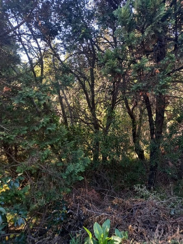 Imagen 8 de 9 de Fida Patagonia. Lote En Venta De 1326m2 Ubicado En San Martín De Los Andes
