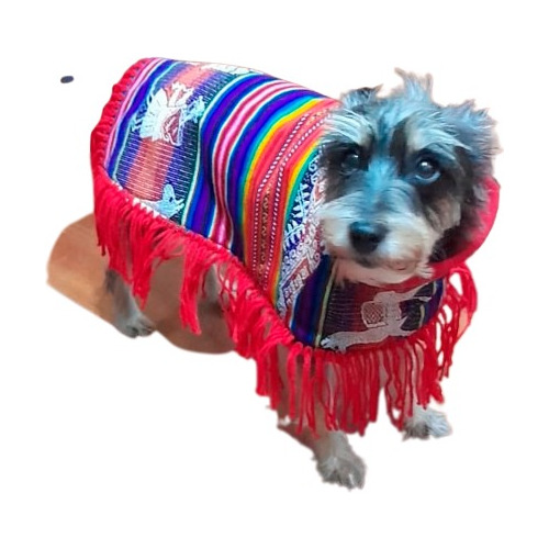 Ropa De Mascotas / Poncho Andino Multicolor Talla Xsl(1)