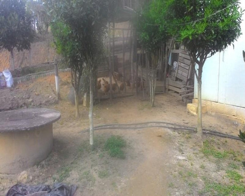 Imagem 6 de 23 de Chacara - Ch00077 - 32820360