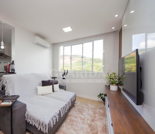Apartamento - Jardim Carvalho - Ref: 204552 - V-204664