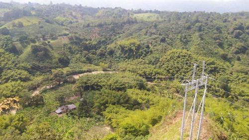 Imagen 12 de 16 de Se Vende Hostal En Filandia - Quindío