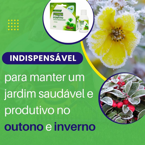 Adubo Fertilizante Forth Fosfito De Potássio Planta Forte