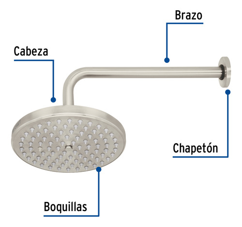 Regadera Satin 8 Plato Redondo Con Brazo Foset 45577