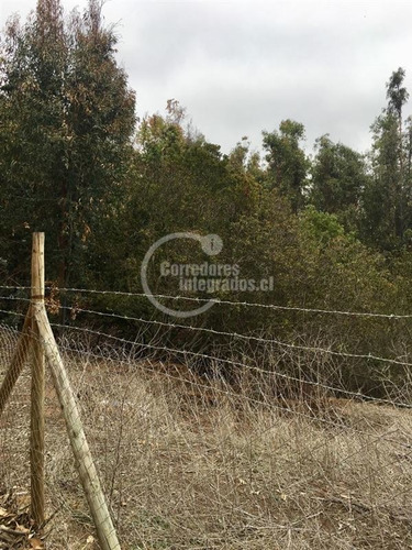 Imagen 18 de 30 de Parcela En Venta Bosques De Mantagua