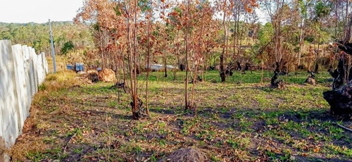 Imagem 7 de 15 de Terreno A Venda No Bairro Loteamento Colinas Verdes - Atibaia, Sp - 328