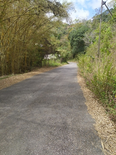 Imagen 3 de 8 de Venta De Terreno En Potrerito, San Antonio De Los Altos/ Zaida Herrera 04241170010