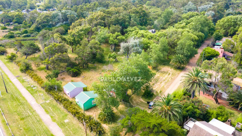 Camping Las Flores. A Metros Del Mar, Y De Todos Los Servicios.