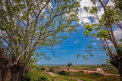 Terrenos En Venta A Minutos De La Playa En Lagunas De Nisibón, Oportunidad De Inversión, 407m2