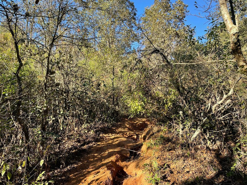 Terreno En Venta En Santa Rosa Con Acceso Vehicular Y Ojo De