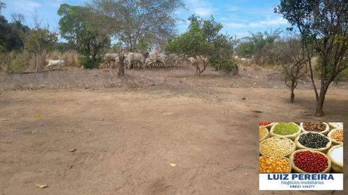 Fazenda À Venda Em Gurupi - To - De 20 Alqueirões (pecuária) - 1494