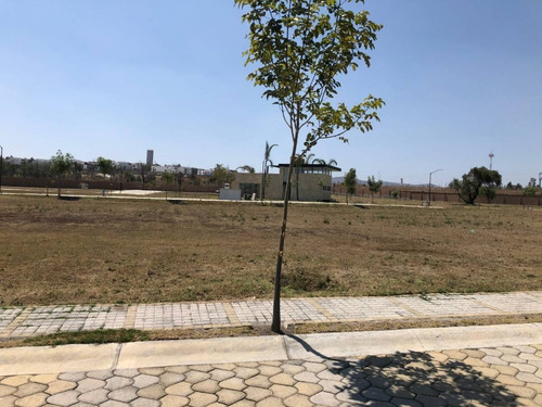 Imagen 4 de 11 de Venta De Lote Residencial Lomas De Angelópolis Ii, (parque Berna)